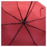 Automatinis moteriškas skėtis SANFO-2