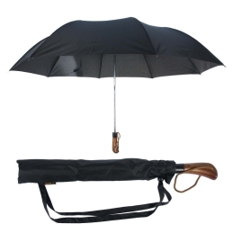Automatinis vyriškas skėtis SANFO-5